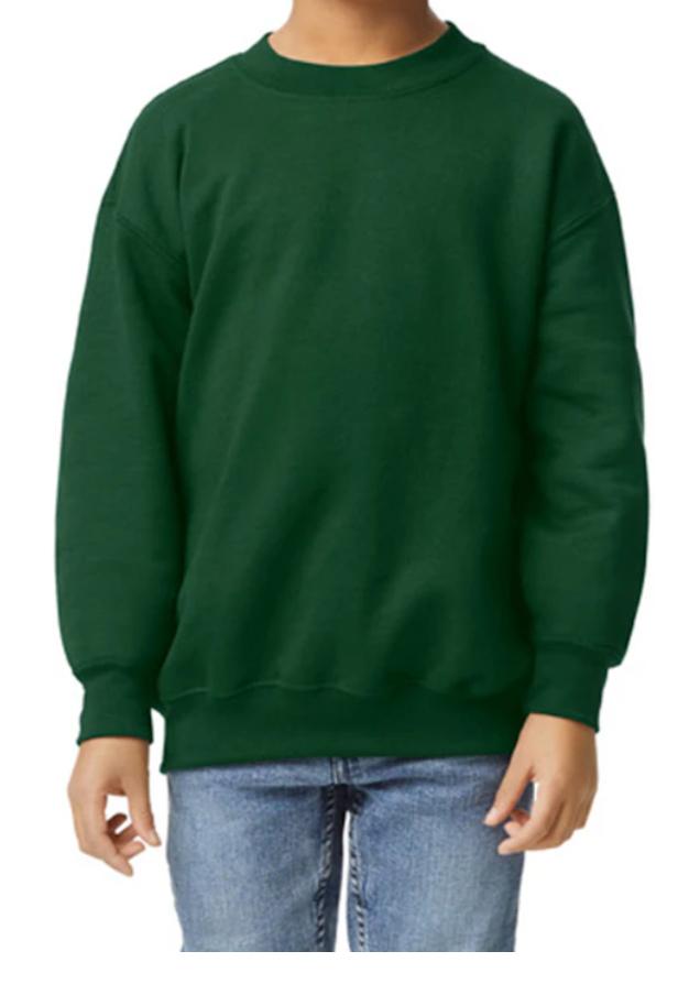 Youth crew neck sweater